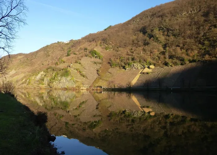 Moseljuwel Mit Exklusiver Sauna Und Indoor Pool *